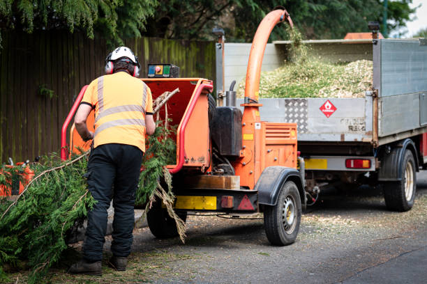 Mulching Services in Piney Point Village, TX